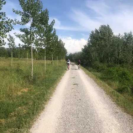 Casa Simonetti Daire Lucca