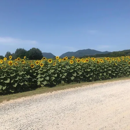 Daire Casa Simonetti Lucca